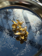 Bouton d’Or