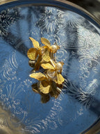 Bouton d’Or